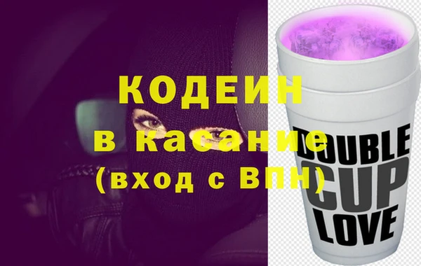 ПСИЛОЦИБИНОВЫЕ ГРИБЫ Арсеньев
