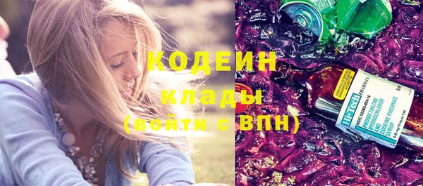 ПСИЛОЦИБИНОВЫЕ ГРИБЫ Арсеньев