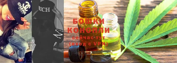 ПСИЛОЦИБИНОВЫЕ ГРИБЫ Арсеньев