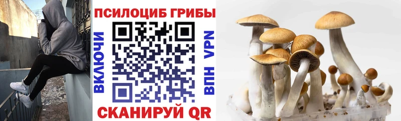 Галлюциногенные грибы мухоморы  OMG ONION  Белый 